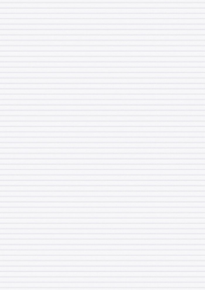 Valore Linear White and Linear Champagne Kitchen